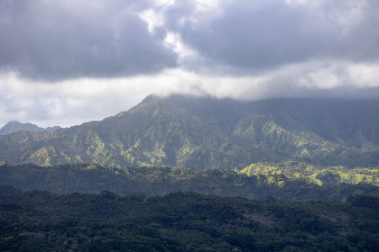 55o678开奖结果最新公布，速看本期中奖号码详情