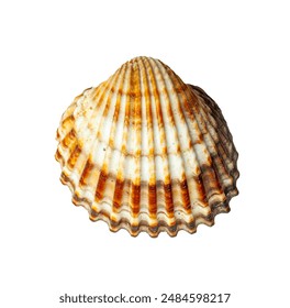 深入解析vwin德赢网页版的游戏种类与玩法技巧