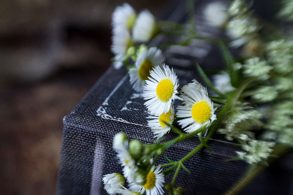 569开奖前后出现的神秘数字预示着什么？