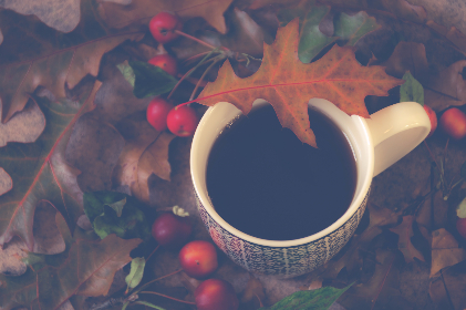 深入解析凯时平台的优势与特色，助你轻松上手