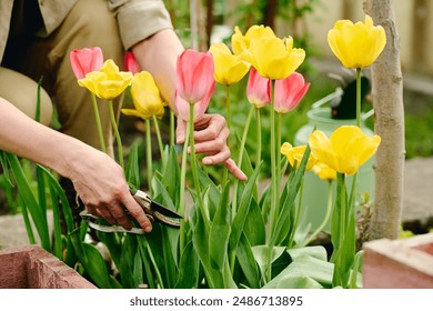 562222现场开奖最新结果查询与开奖直播