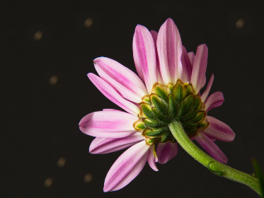 577588开奖结果最新公布，速来查看中奖详情