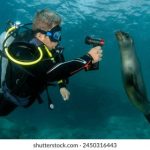 深入解析k1体育39153:如何提升你的体育竞技水平 z46id