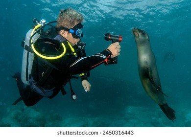 深入解析k1体育39153：如何提升你的体育竞技水平