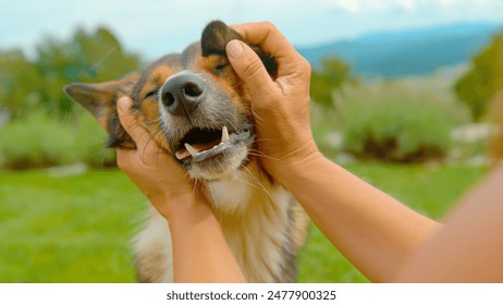 K神最新直播平台推荐,哪里可以高清观看? K神最新直播平台推荐,哪里可以高清观看?