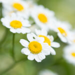 K球直播官网:全球顶级赛事高清实时在线观看平台 y0uvyd2s